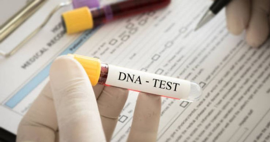 Xét nghiệm ADN ngày lễ: Từ niềm vui đoàn tụ đến bí mật gia đình bị phơi bày