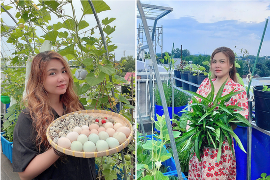 Mẹ đảm Đồng Nai nuôi gà, chim cút, trồng vườn rau xanh mướt trên sân thượng