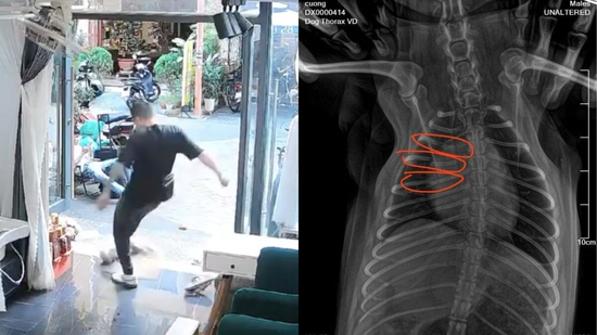 Clip du khách nước ngoài đá gãy xương chú chó ở Đà Nẵng khiến dân mạng phẫn nộ