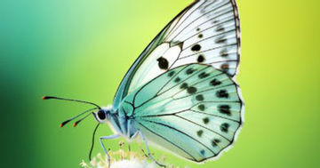 Tháng sinh Âm lịch của người có nghị lực mạnh mẽ, dễ giàu từ trung niên