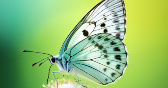 Tháng sinh Âm lịch của người có nghị lực mạnh mẽ, dễ giàu từ trung niên