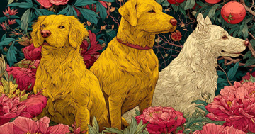 3 con giáp được cát tinh hỗ trợ, phát đạt, giàu có thịnh vượng nhất trong 3 tháng đầu năm Bính Ngọ 2026