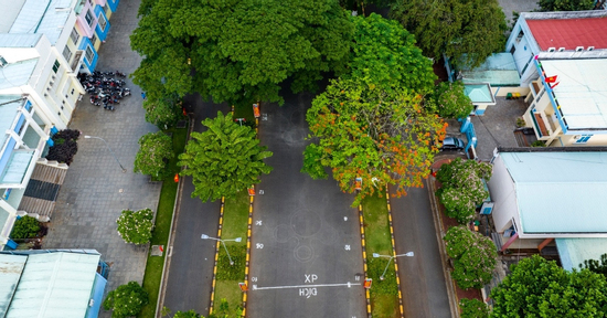 Chủ nhà ngang nhiên mở nhiều cửa sổ nhìn sang nhà hàng xóm