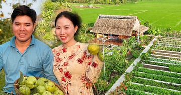 Vợ chồng ở An Giang bỏ phố về quê dựng khu vườn xanh mướt, hút triệu view