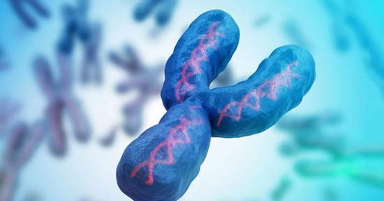 Nam giới đang mất dần nhiễm sắc thể Y
