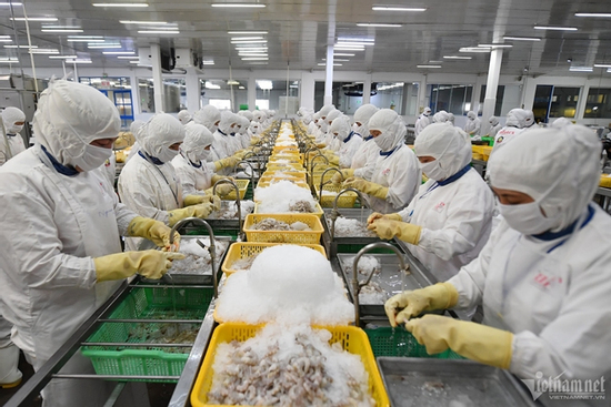 Trung Đông bốc lửa, Cục Xuất nhập khẩu đưa ra loạt khuyến nghị khẩn