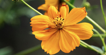 Ba khung giờ sinh 'giàu muộn': Càng qua tuổi 40 càng nhiều tiền