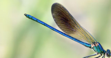 3 khung giờ sinh Âm lịch mang theo phúc khí: Trẻ lớn lên bình an, cuộc đời suôn sẻ hơn người