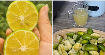 Trào lưu coi chanh là 'thần dược' chữa bách bệnh