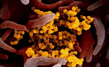 Biến thể COVID-19 'Ve sầu' né vaccine, lây nhanh tại Mỹ: Bộ Y tế cảnh báo gì?