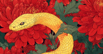 Phụ nữ thuộc 3 con giáp này không cần bon chen vẫn lấy chồng giàu