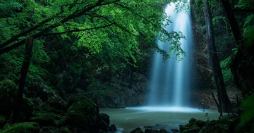 Sinh đúng giờ 'hoàng kim', 3 con giáp này hưởng trọn phú quý, dễ thành đại gia