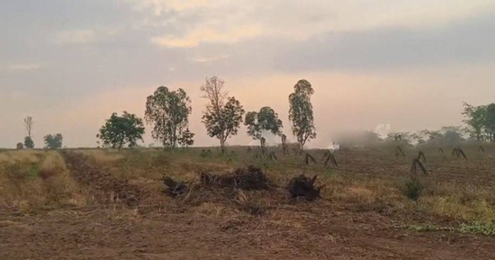 Nghe tiếng khóc trong vườn sắn, người phụ nữ lại xem thì sốc nặng