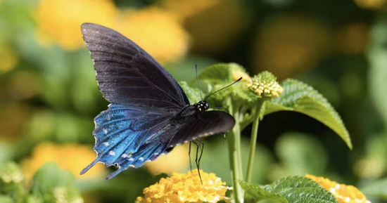 4 khung giờ sinh Âm lịch báo hiệu cuộc đời đủ đầy, về già được hưởng lộc con cháu