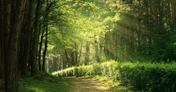 Giờ sinh Âm lịch của đứa trẻ vượng khí: Lớn lên dễ làm rạng danh cha mẹ