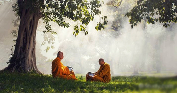 Lùm xùm của người mặc áo nhà tu: Đừng vì chiếc lá sâu mà chặt cả cây bồ đề