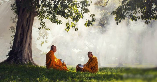 Lùm xùm của người mặc áo nhà tu: Đừng vì chiếc lá sâu mà chặt cả cây bồ đề