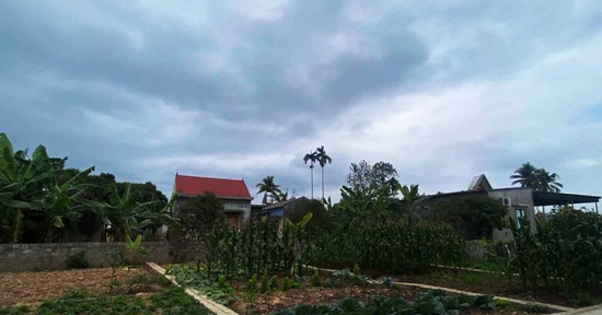 2 năm không về quê chồng, vừa bước vào phòng ngủ, con dâu bật khóc