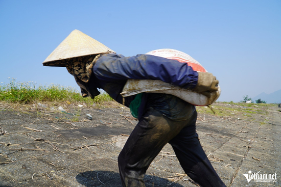Những người phụ nữ 'cõng' ốc dưới cái nắng gần 40 độ C ở ven biển Hà Tĩnh