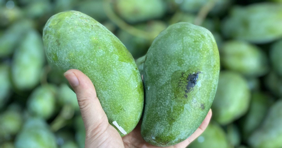 Xoài hạt lép “làm mưa làm gió”, tiểu thương tiết lộ lý do hàng về tới đâu hết tới đó