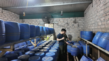 Triệt xóa loạt cơ sở dùng chất cấm, sản xuất hơn 12 tấn giá đỗ