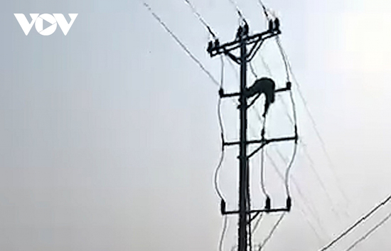 Nam sinh lớp 8 ở Nghệ An tử vong do điện giật