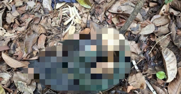 Phát hiện bộ xương người trong vườn quốc gia, bên cạnh có dao, ba lô