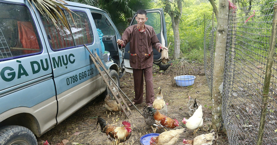 Người đàn ông mang gà chín cựa về Lễ hội Đền Hùng, tiết lộ điều đặc biệt