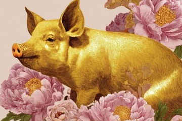 Trong 2 ngày 12 và 13/3 âm lịch, 3 con giáp hóa Rồng hóa Phượng, đón mưa vàng bão bạc, hưởng trọn phú quý, của cải tăng gấp 4 gấp 5