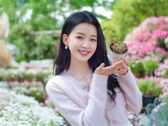 Trúng số độc đắc đúng ngày 30/4/2026, 3 con giáp vận trình lội ngược dòng như 'cá chép hóa rồng', tưng bừng đón tài lộc