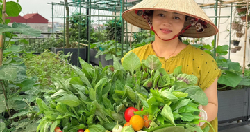 Chi 30 triệu làm vườn sân thượng, mẹ đảm Bắc Ninh tha hồ thu rau trái quanh năm