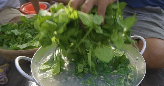 Sản vật không tốn tiền mua ở miền Tây, nấu canh ăn ngon lại mát