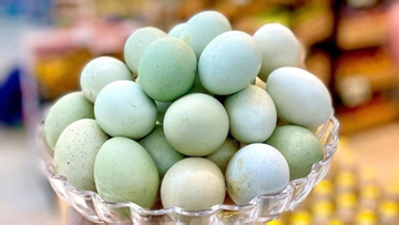 Trứng gà vỏ xanh có bổ dưỡng hơn trứng gà vỏ nâu, trắng?