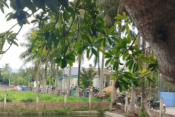 Bố đẻ dùng dao làm con trai tử vong sau mâu thuẫn gia đình ở Điện Biên