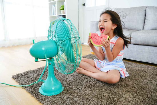 Mẹo làm mát nhà thông minh chỉ bằng quạt điện trong ngày 'nắng điên đảo'