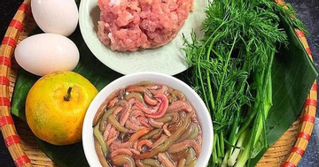 Sinh vật hiếm gặp, nhìn thì ám ảnh nhưng được xem như món đại bổ, giá chạm ngưỡng tiền triệu: Khi ăn nhất định phải có vỏ quýt, thì là, lá lốt