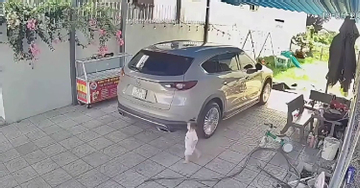 Vì sao cảm biến lùi không thể cứu mạng bé gái bị xe Mazda CX-8 cán qua ở sân?