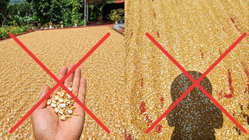 Cần xử nghiêm người đăng ảnh AI gây hoảng sợ trong nắng nóng cực độ ở miền Bắc