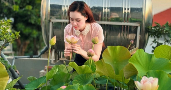 ‘Cõng bùn' lên sân thượng, 9X Quảng Ninh biến mái nhà thành vườn sen thơm ngát