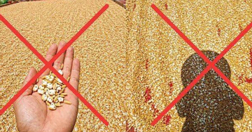 Người đàn ông bị phạt vì đăng ảnh thóc 'nổ bỏng' dưới nắng nóng