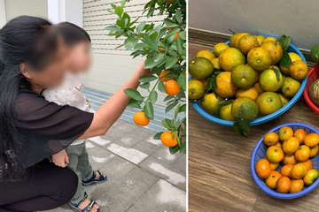 Nàng dâu 3 năm không về quê nghỉ lễ, hổ thẹn trước hành động của bố mẹ chồng U80