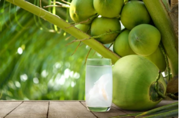 3 lời khuyên cho các gia đình hay uống nước dừa