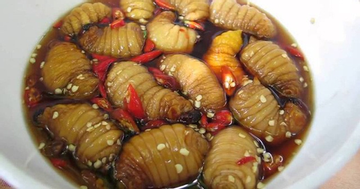 Món đặc sản nhìn tưởng “kinh dị”, giá 500.000 đồng/kg vẫn có người mua