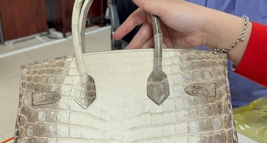 Bán đấu giá hai chiếc túi Hermès bạch tạng của bà Trương Mỹ Lan