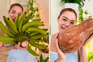 Nữ Phó Chủ tịch tuổi 53 chán hát, mê làm nông dân và sở hữu vườn 10.000m2