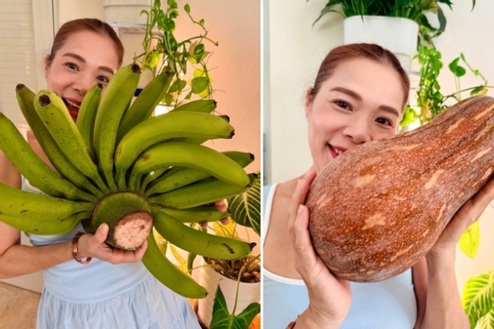 Nữ Phó Chủ tịch tuổi 53 chán hát, mê làm nông dân và sở hữu vườn 10.000m2