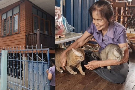 Bà lão 81 tuổi sống tằn tiện, dành tiền mua nhà hơn 800 triệu đồng cho mèo hoang