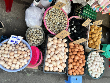 Trứng gà rớt giá, người nuôi lỗ nặng, bán lẻ giảm nhỏ giọt