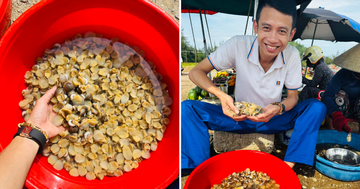 Đặc sản có từ Nam ra Bắc, tên nghe béo ngậy, thịt giòn, bùi như trứng gà