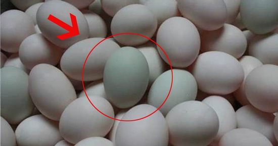 Mua trứng vịt nên chọn quả vỏ trắng hay vỏ xanh thì tốt hơn?